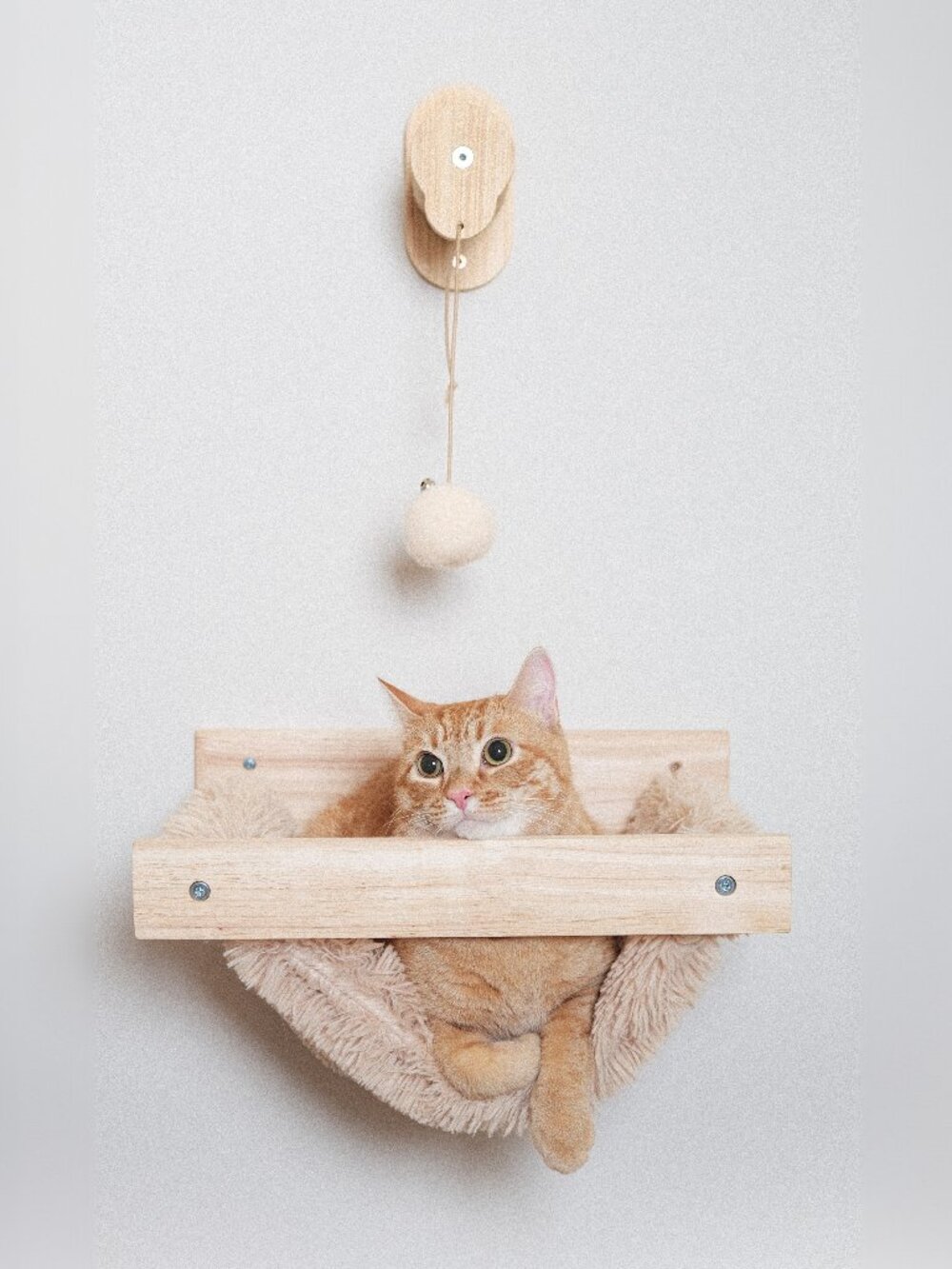 Wall Mounted Cat Wall Hammock with Toy